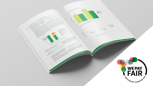 [Translate to French:] Salary Analysis Report Picture